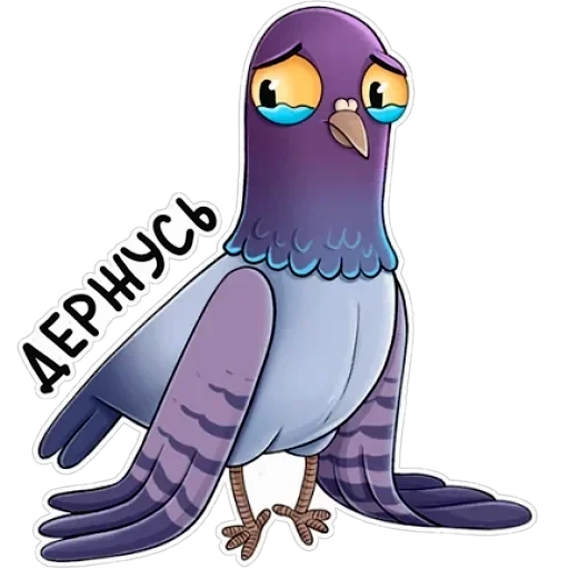 Голубь — 8