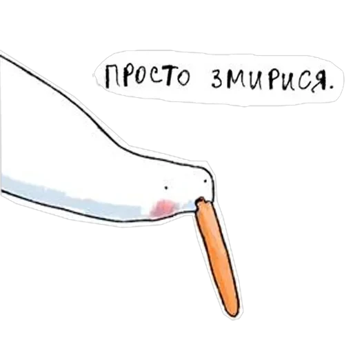 Gus — 26