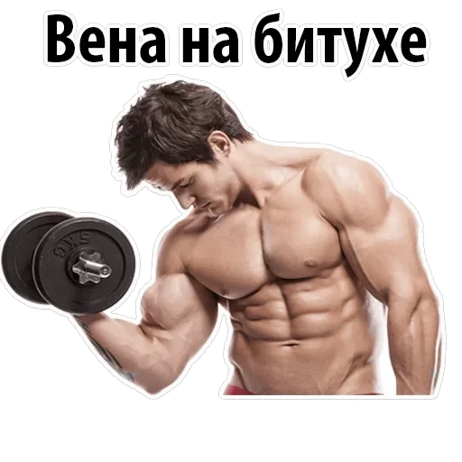 Gym — 19