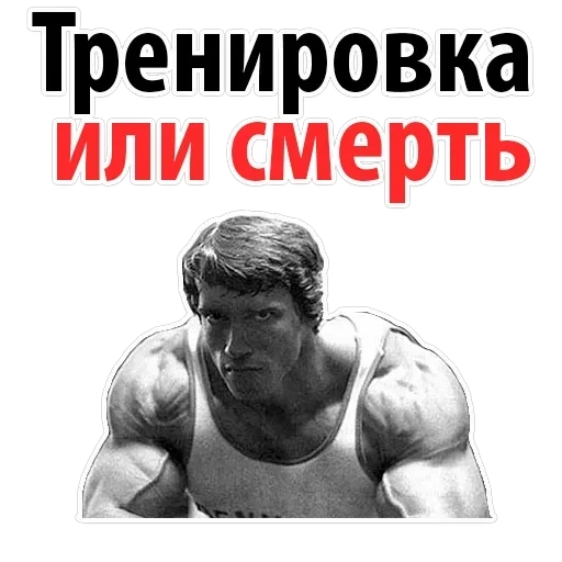 Gym — 25