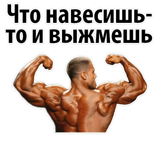 Gym — 26