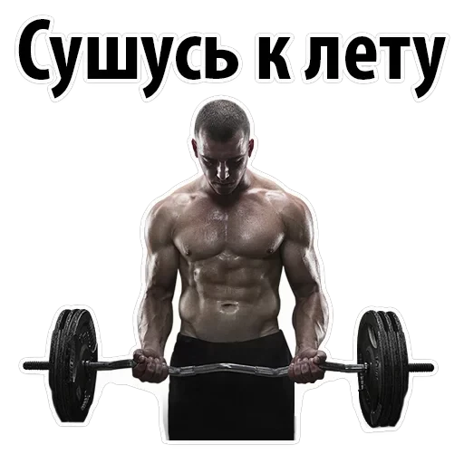 Gym — 4