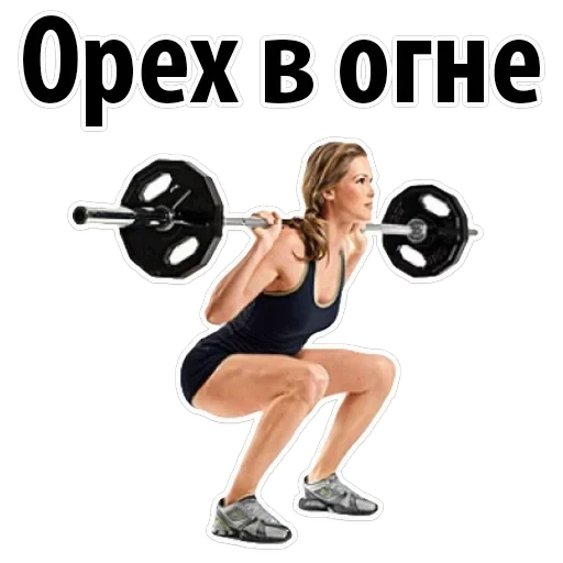 Gym — 6