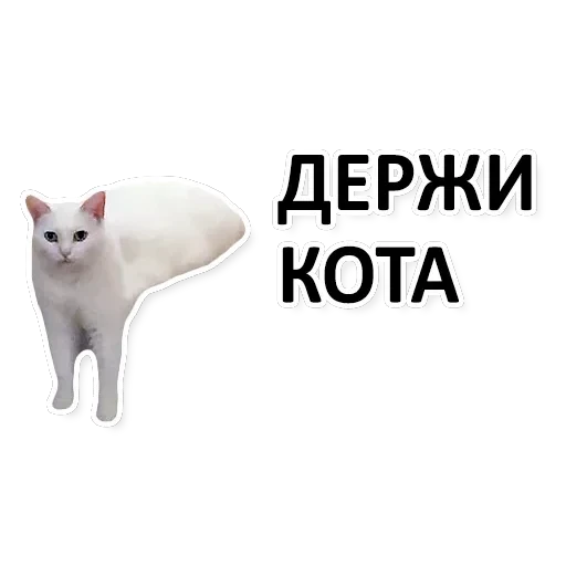 Х*яНет - стикеры для Ж — 28
