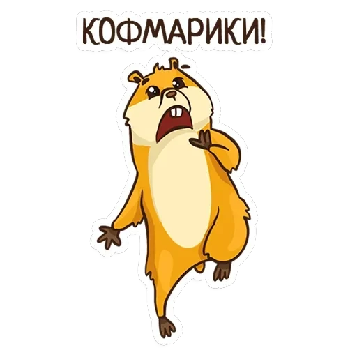 Hamster — 13