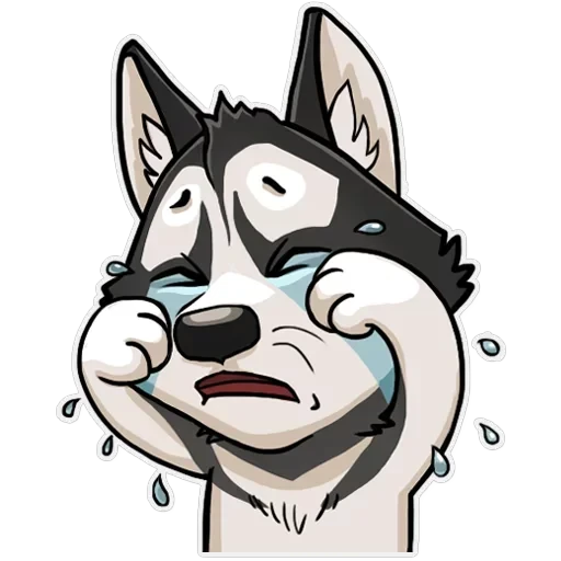 Husko — 13