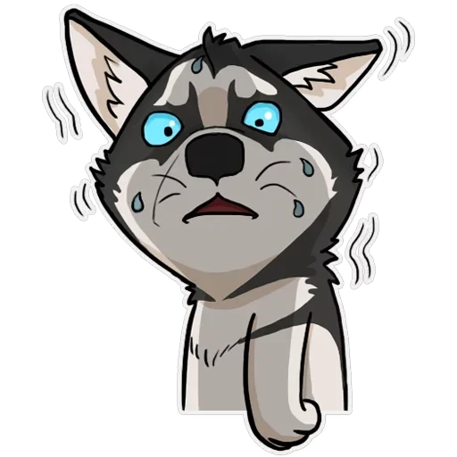 Husko — 4