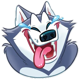 Hussie Goodboy