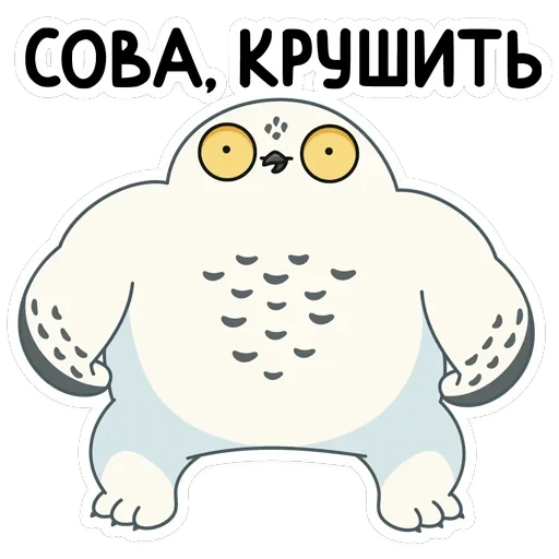 Ирви — 19