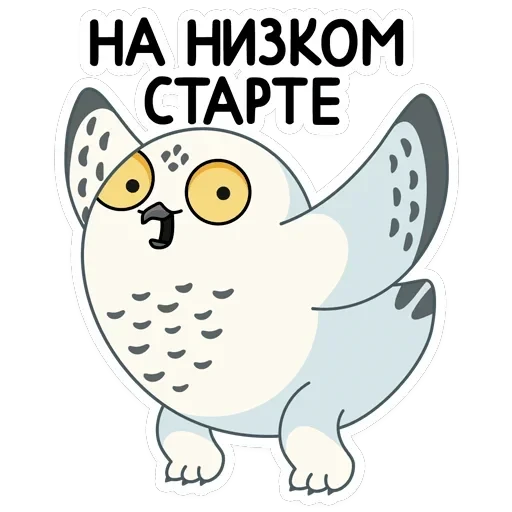 Ирви — 42