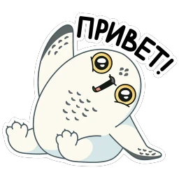 Ирви