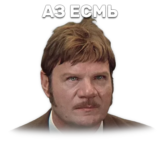 Иван Васильевич меняет профессию — 29