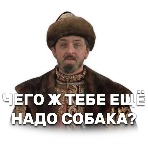 Иван Васильевич меняет профессию — 32
