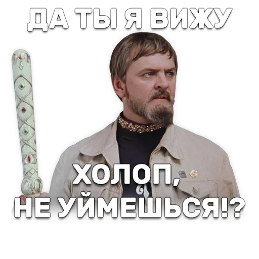 Иван Васильевич меняет профессию — 49