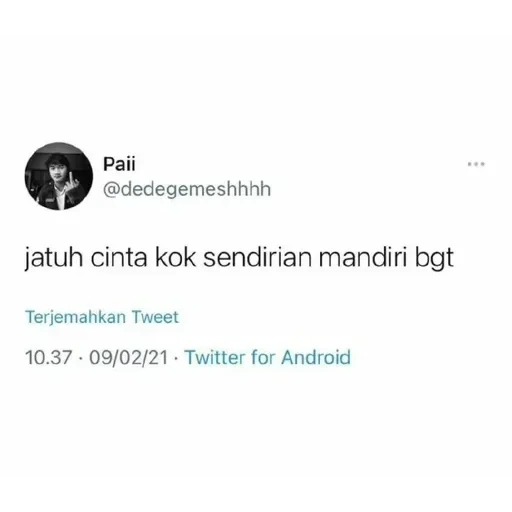 JMT Cool — 31