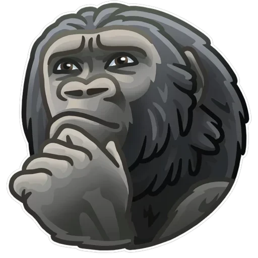 Just zoo it! — 30