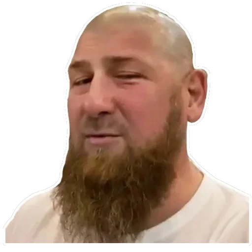 kadyrov_95 — 31