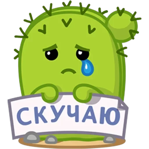 Кактус Коля — 8