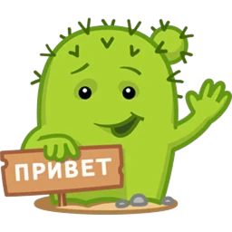 Кактус Коля