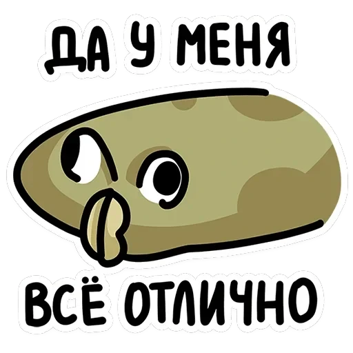Камбала Лена — 29