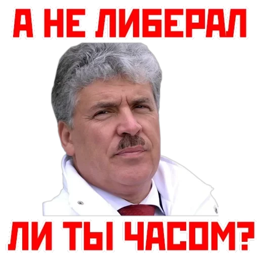 Кандидат от народа — 13