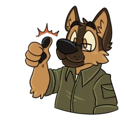 Kashra Stickers