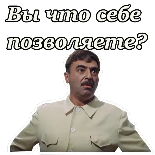 Кавказская пленница — 25