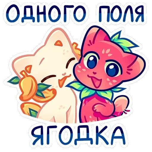 Кито — 41