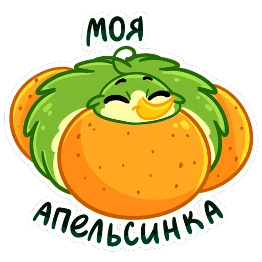 Киви Иви — 6