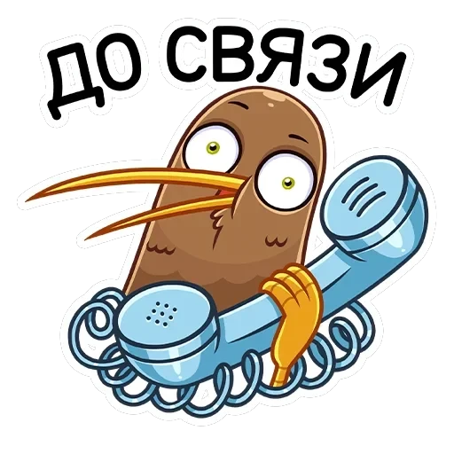 Киви Стиви — 17