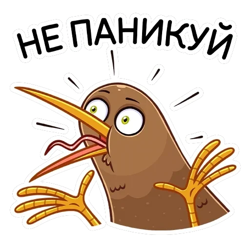 Киви Стиви — 23