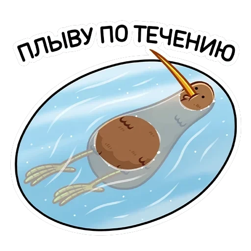 Киви Стиви — 33