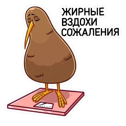 Киви Стиви — 43