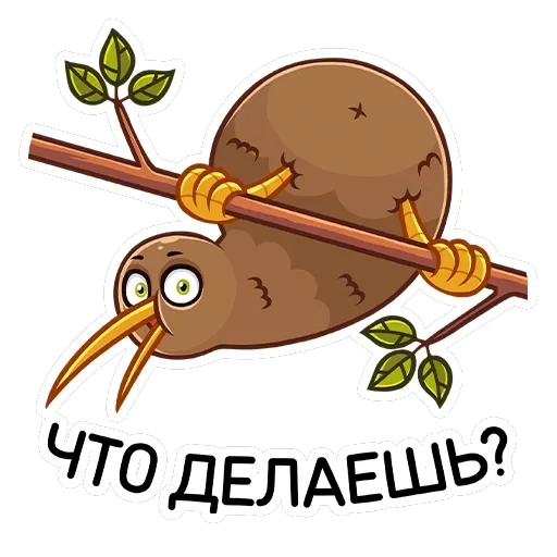 Киви Стиви — 6