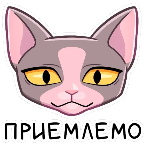 Клео — 15