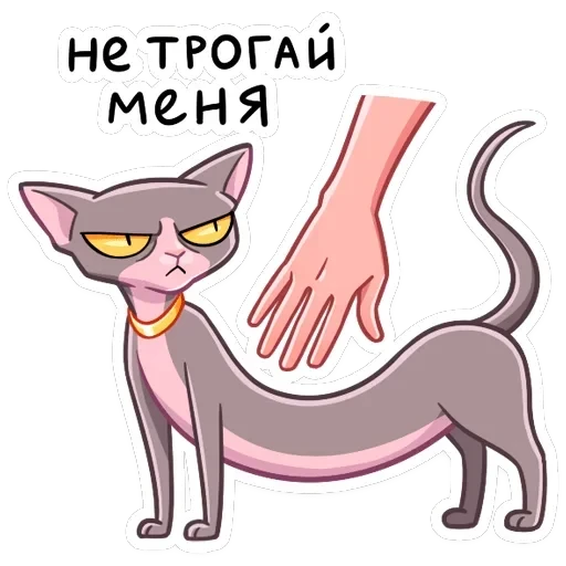 Клео — 43