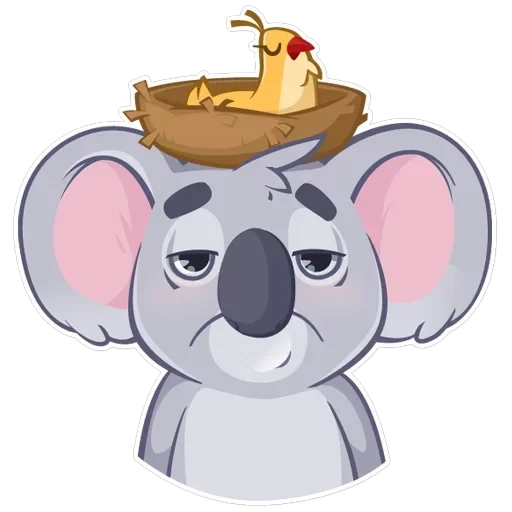 Koala Chuck — 13