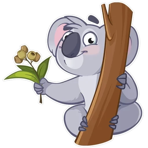 Koala Chuck — 14