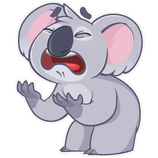 Koala Chuck — 15
