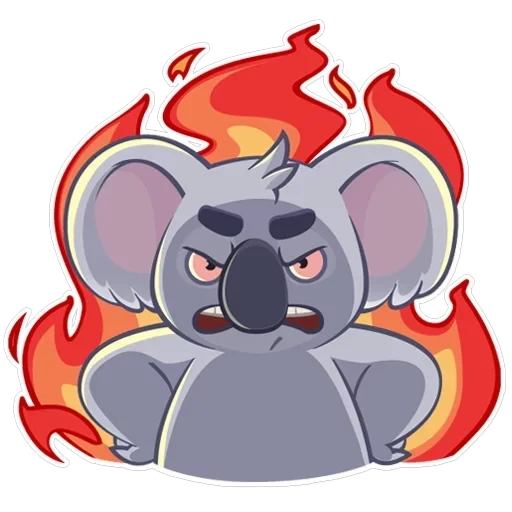 Koala Chuck — 16