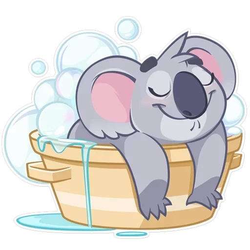 Koala Chuck — 19