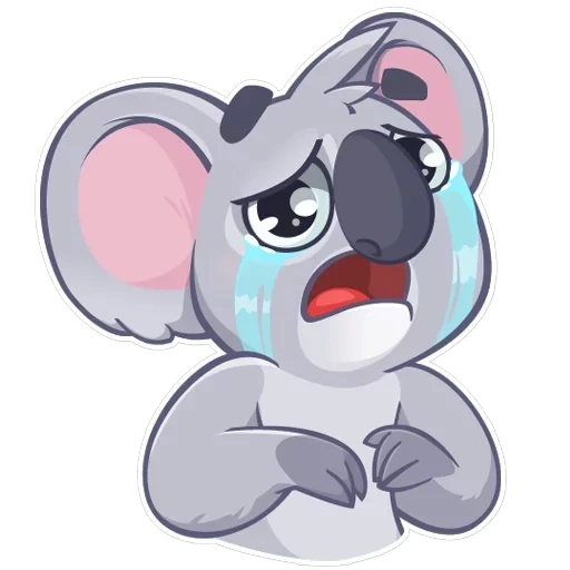 Koala Chuck — 6