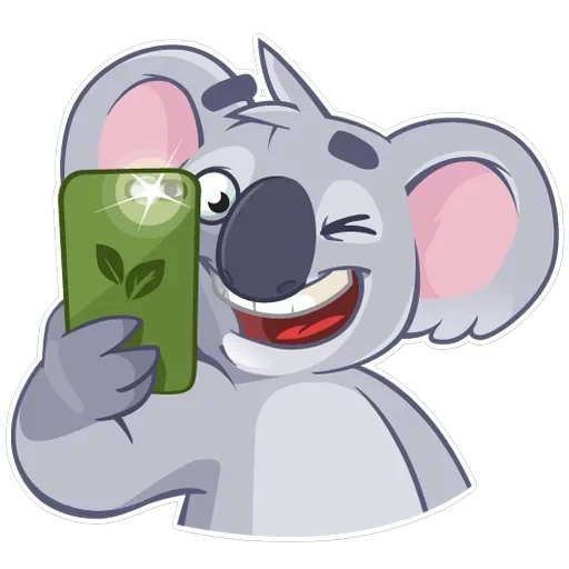 Koala Chuck — 8