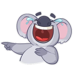 Koala Chuck
