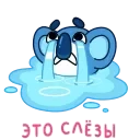 Коала 👉 @ok_sticker_bot — 10