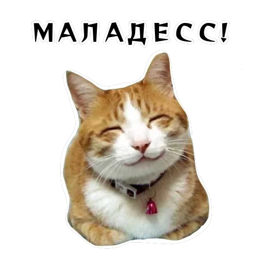Колкие фразы — 20