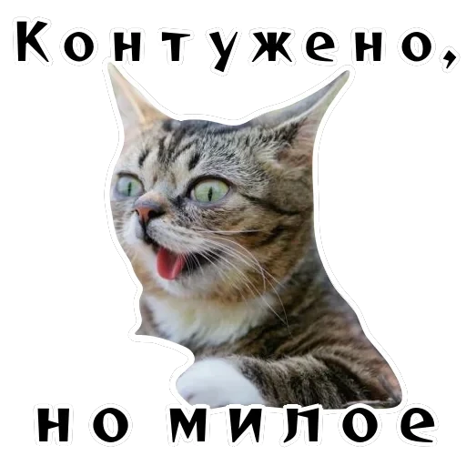 Колкие фразы — 21