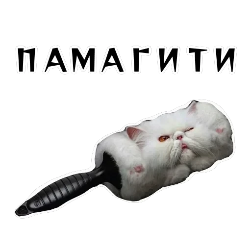 Колкие фразы — 22