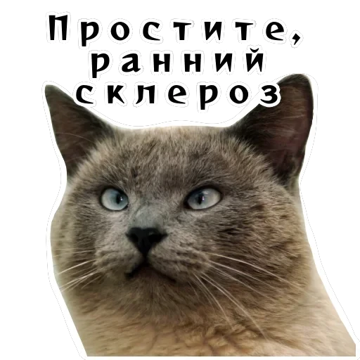 Колкие фразы — 24