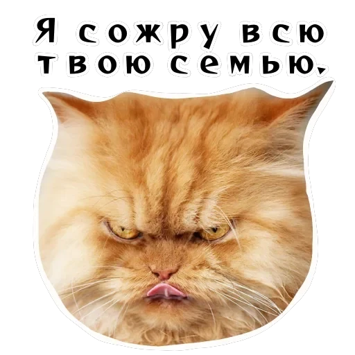 Колкие фразы — 25